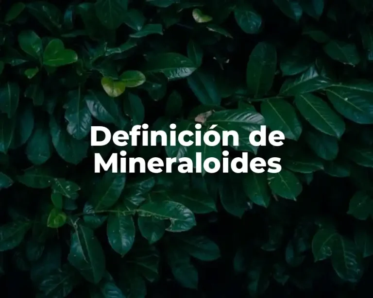 Definición de Mineraloides