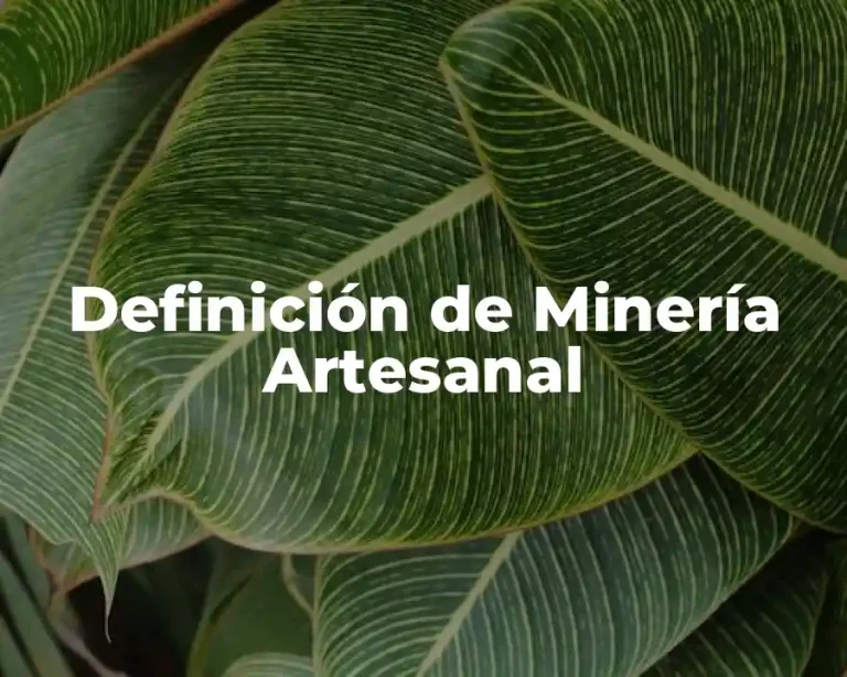 Definición de Minería Artesanal