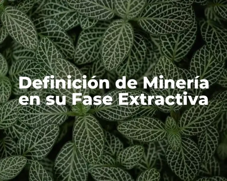 Definición de Minería en su Fase Extractiva