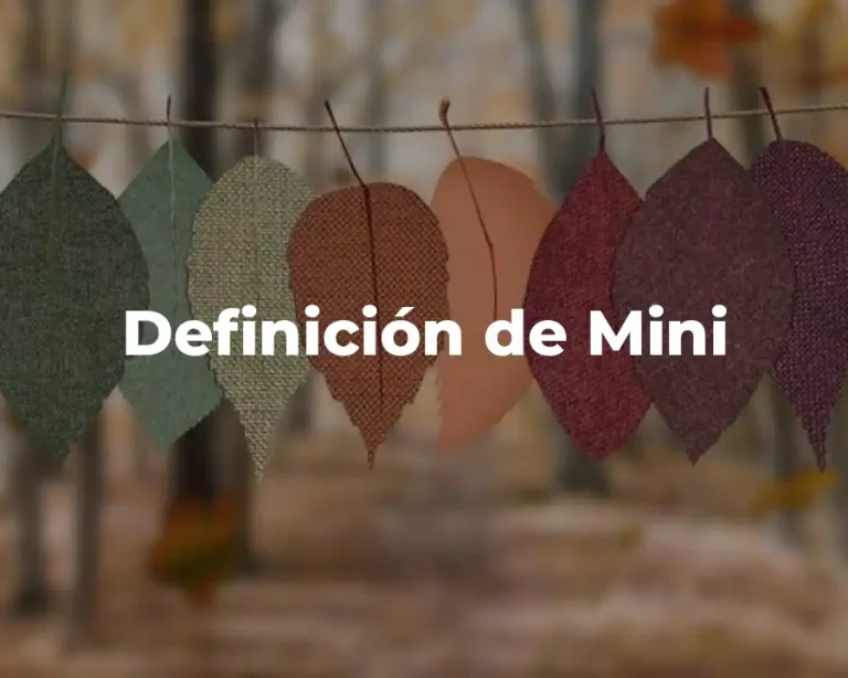 Definición de Mini