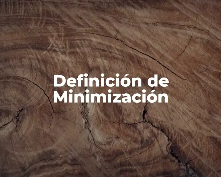 Definición de Minimización