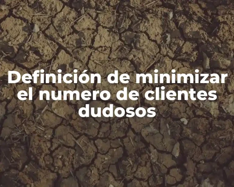 Definición de minimizar el numero de clientes dudosos