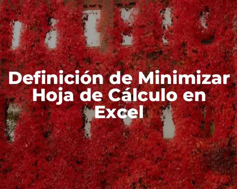 Definición de Minimizar Hoja de Cálculo en Excel