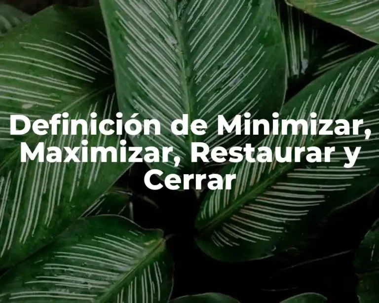 Definición de Minimizar, Maximizar, Restaurar y Cerrar