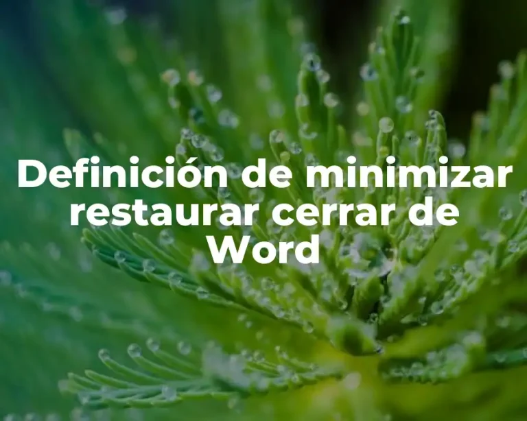 Definición de minimizar restaurar cerrar de Word
