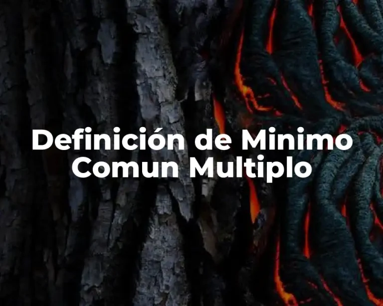 Definición de Minimo Comun Multiplo