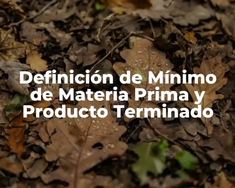 Definición de Mínimo de Materia Prima y Producto Terminado