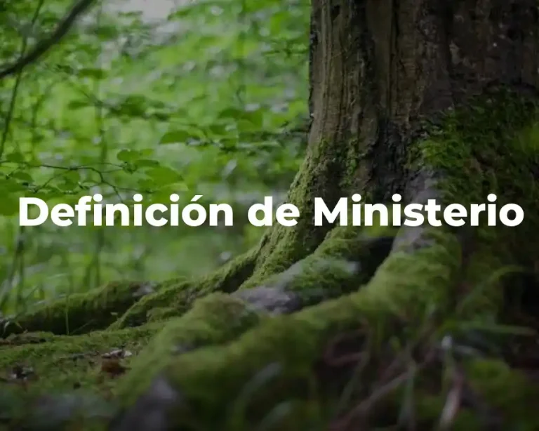 Definición de Ministerio