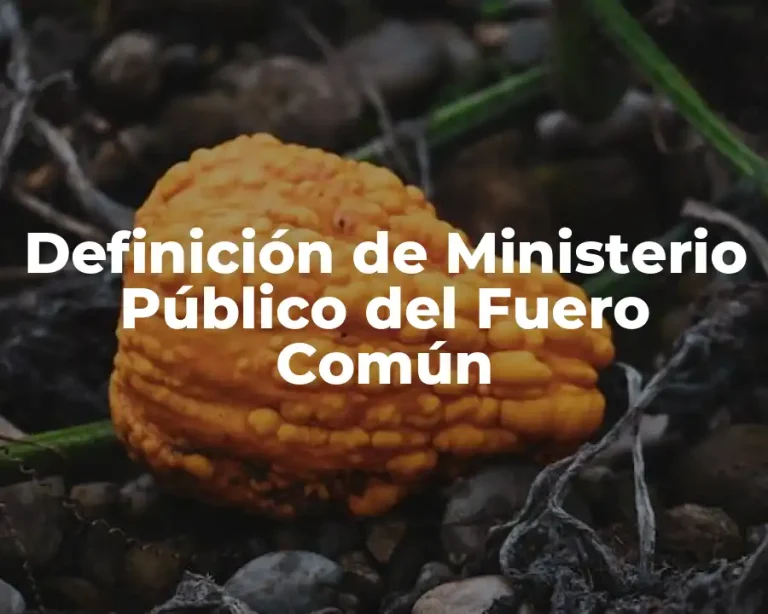Definición de Ministerio Público del Fuero Común