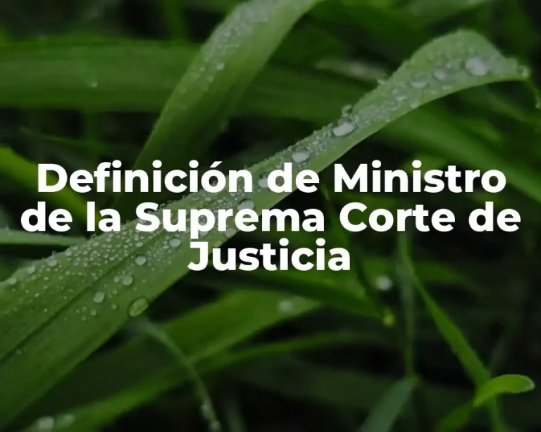 Definición de Ministro de la Suprema Corte de Justicia