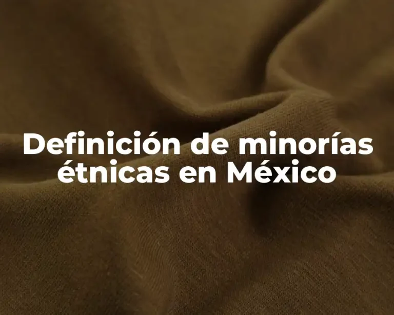 Definición de minorías étnicas en México