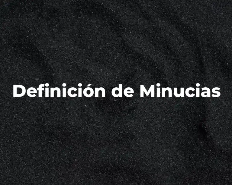 Definición de Minucias