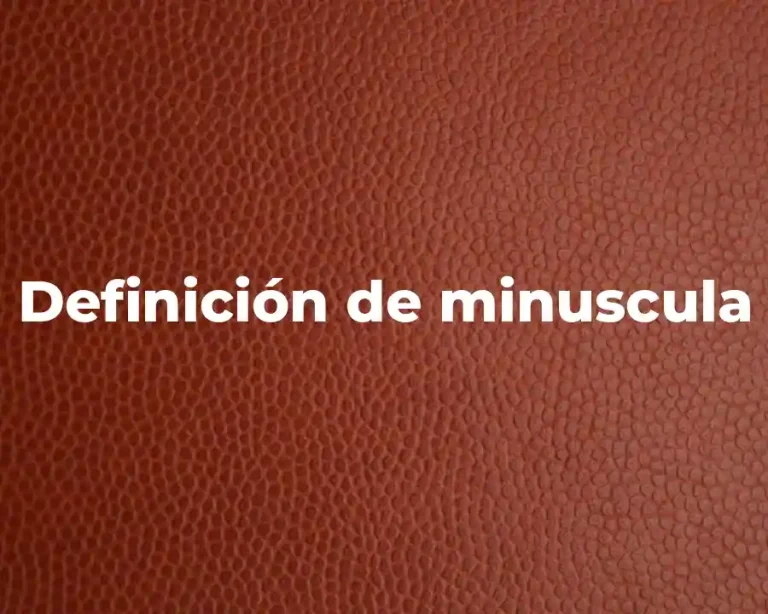 Definición de minuscula