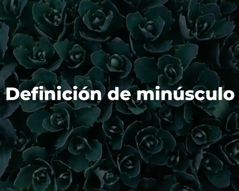 Definición de minúsculo