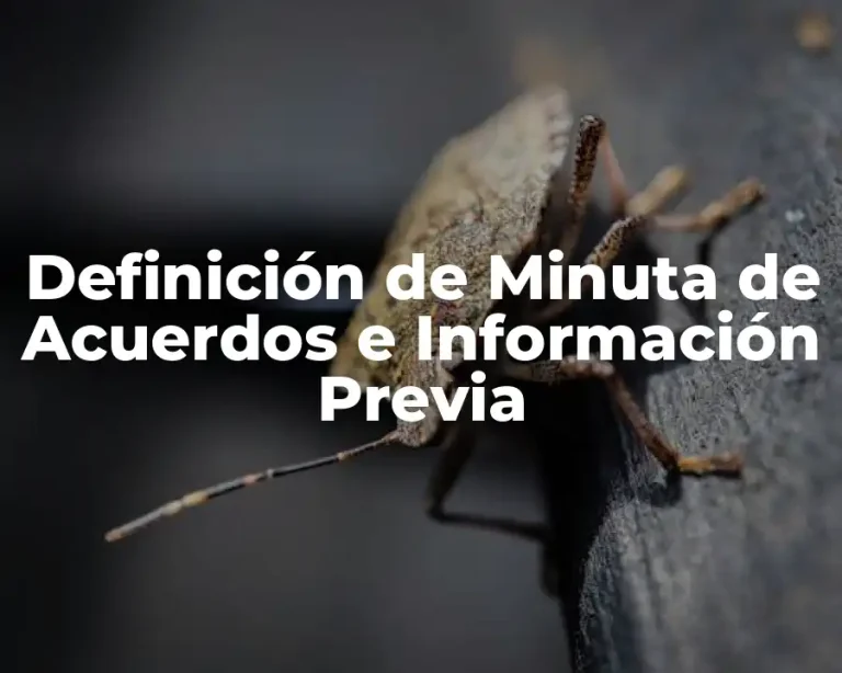 Definición de Minuta de Acuerdos e Información Previa