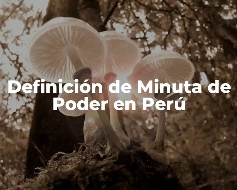 Definición de Minuta de Poder en Perú
