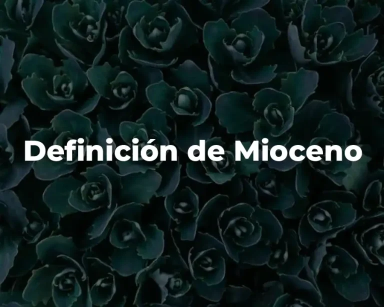 Definición de Mioceno