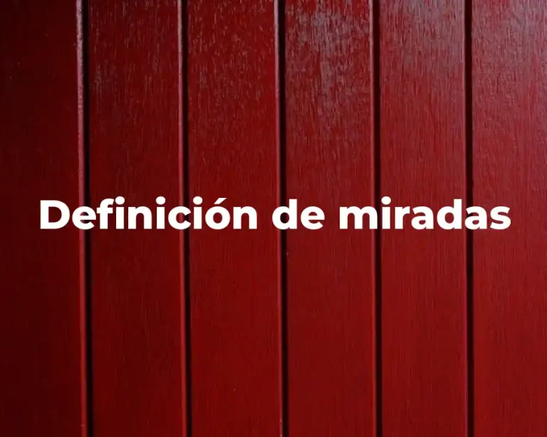 Definición de miradas