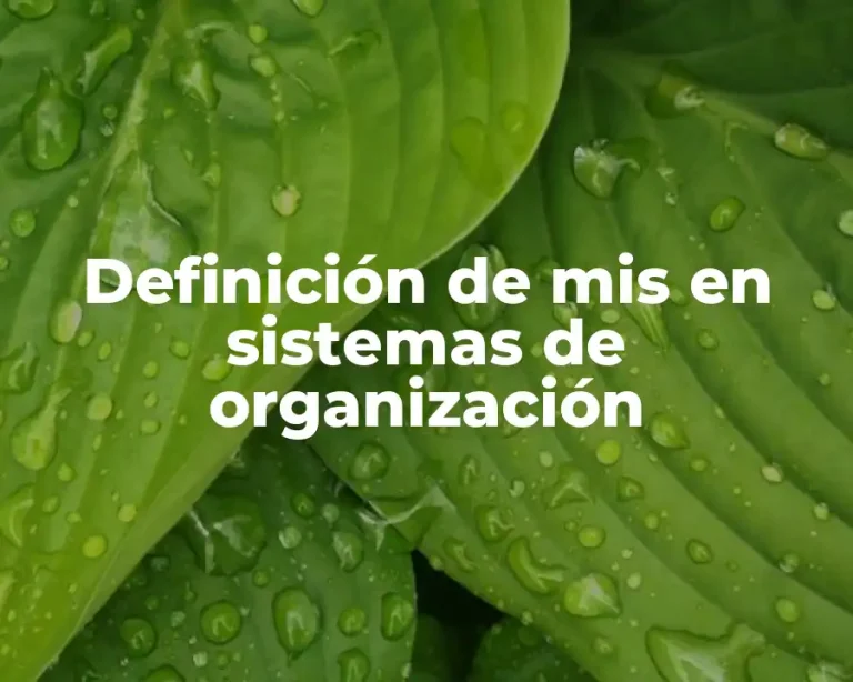 Definición de mis en sistemas de organización