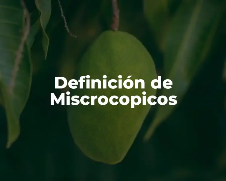 Definición de Miscrocopicos