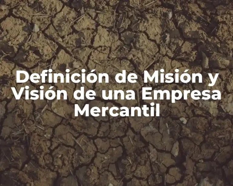 Definición de Misi&oacute;n y Visi&oacute;n de una Empresa Mercantil