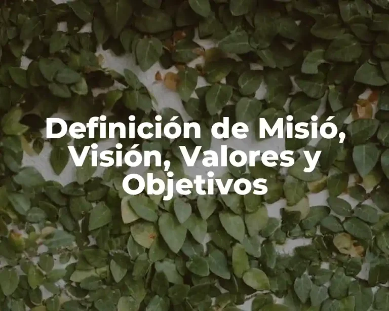 Definición de Misió, Visión, Valores y Objetivos