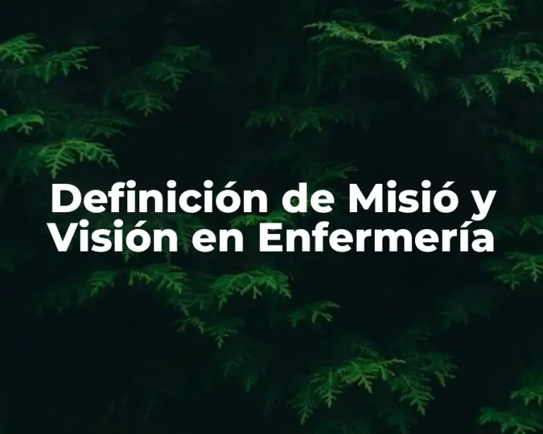 Definición de Misió y Visión en Enfermería