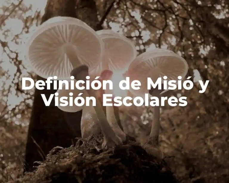 Definición de Misió y Visión Escolares