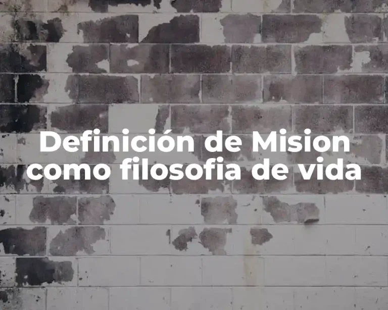 Definición de Mision como filosofia de vida