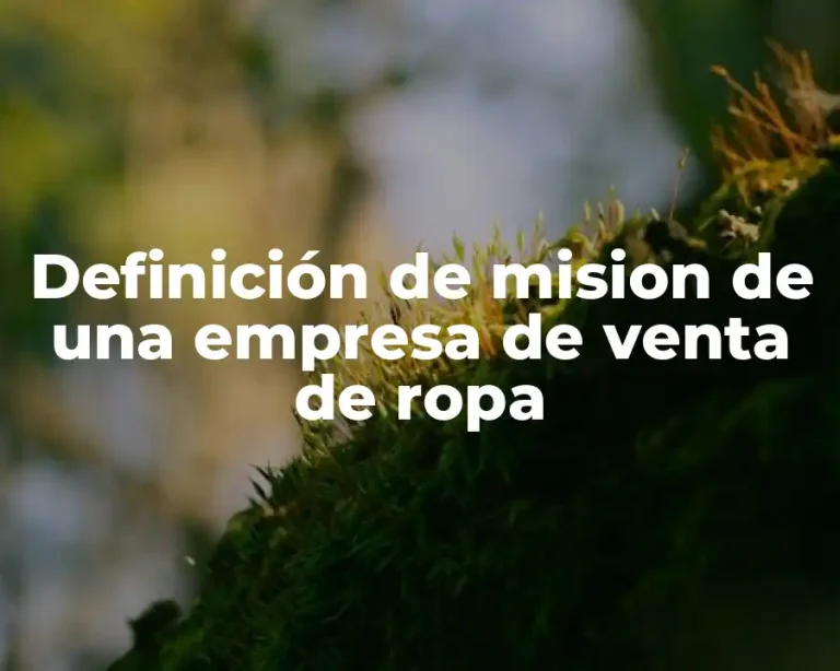 Definición de mision de una empresa de venta de ropa