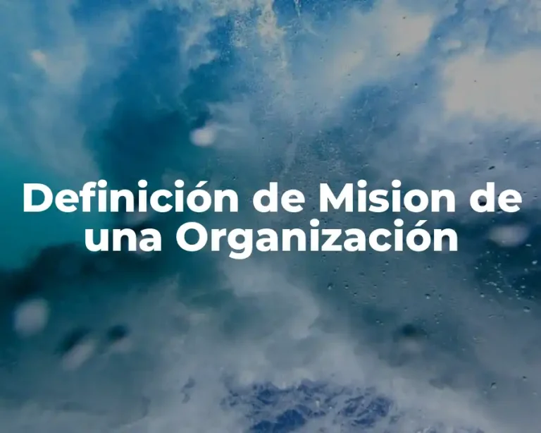 Definición de Mision de una Organización
