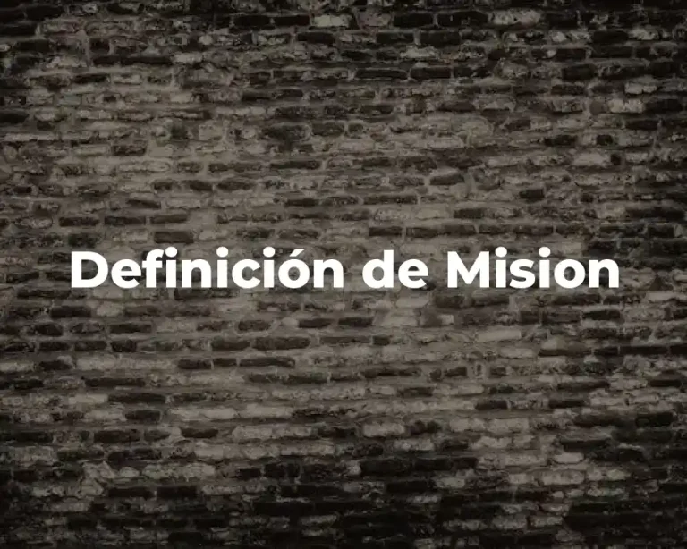 Definición de Mision