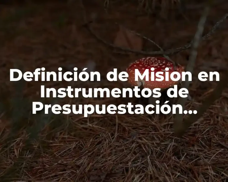 Definición de Mision en Instrumentos de Presupuestación Empresarial