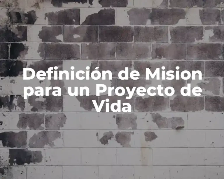 Definición de Mision para un Proyecto de Vida