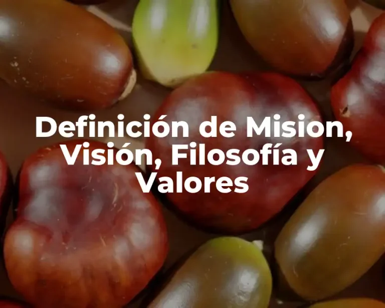 Definición de Mision, Visión, Filosofía y Valores