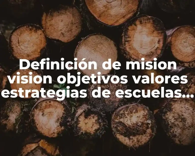 Definición de mision vision objetivos valores estrategias de escuelas colombianas