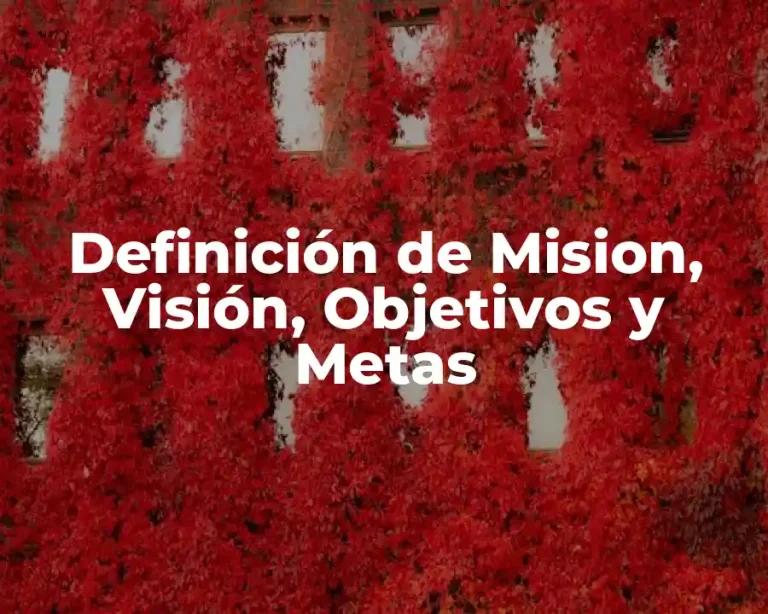 Definición de Mision, Visión, Objetivos y Metas