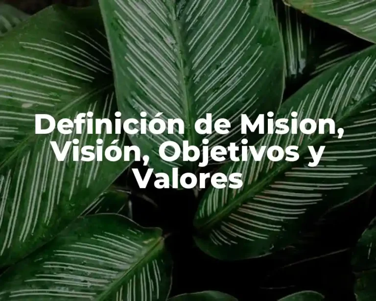 Definición de Mision, Visión, Objetivos y Valores