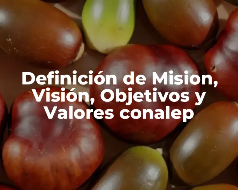 Definición de Mision, Visión, Objetivos y Valores conalep