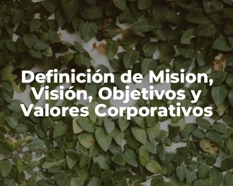 Definición de Mision, Visión, Objetivos y Valores Corporativos