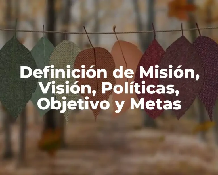 Definición de Misión, Visión, Políticas, Objetivo y Metas