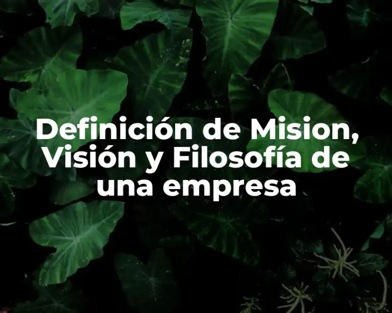 Definición de Mision, Visión y Filosofía de una empresa