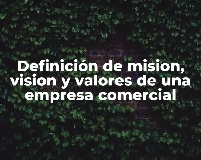 Definición de mision, vision y valores de una empresa comercial