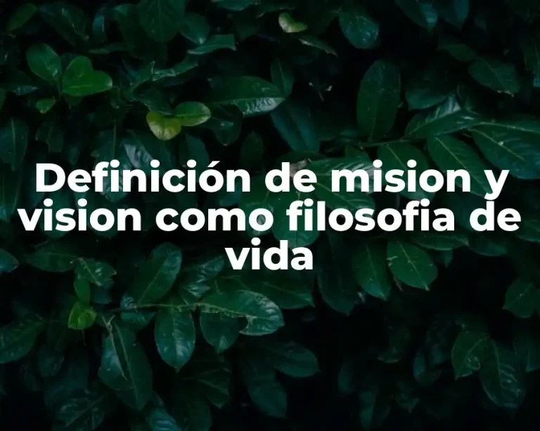 Definición de mision y vision como filosofia de vida