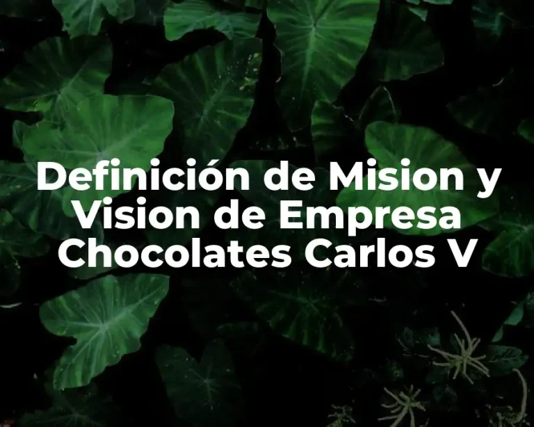 Definición de Mision y Vision de Empresa Chocolates Carlos V