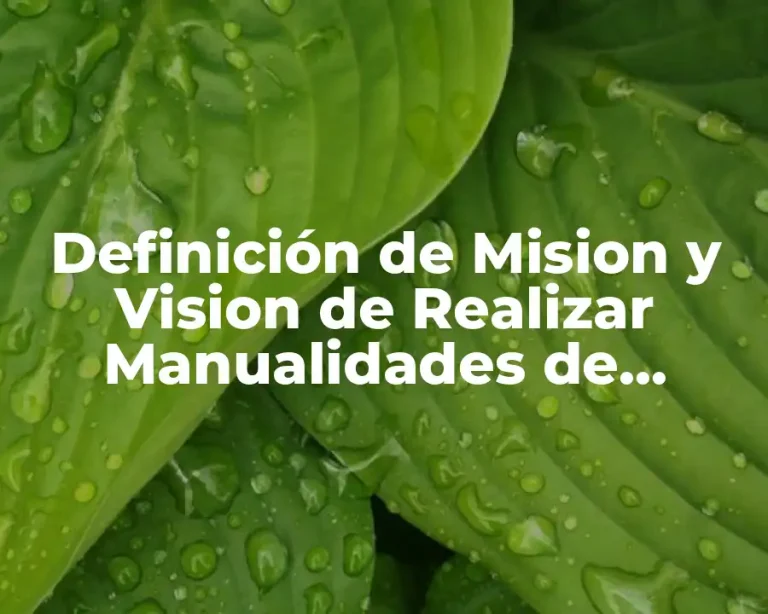Definición de Mision y Vision de Realizar Manualidades de Tetrapack