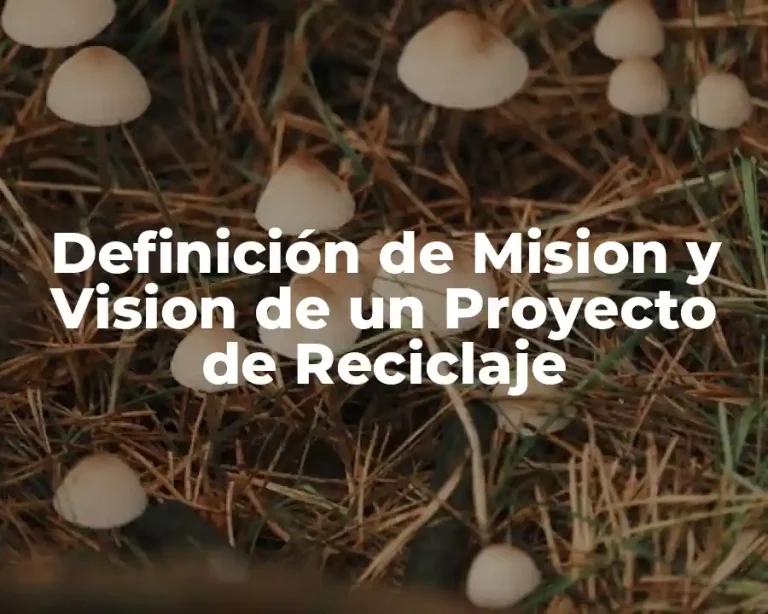 Definición de Mision y Vision de un Proyecto de Reciclaje