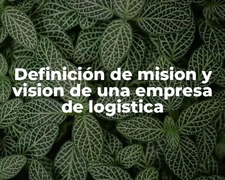 Definición de mision y vision de una empresa de logistica