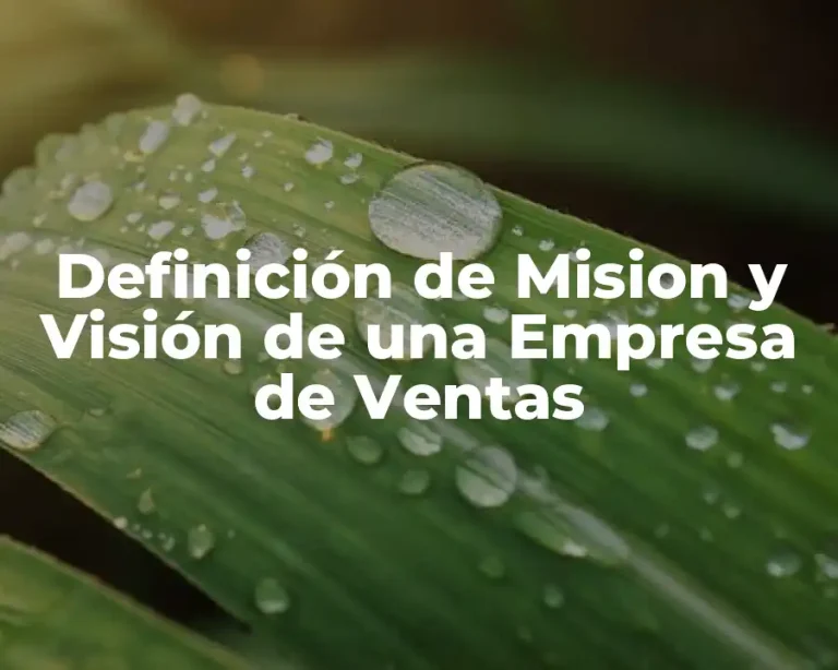 Definición de Mision y Visión de una Empresa de Ventas