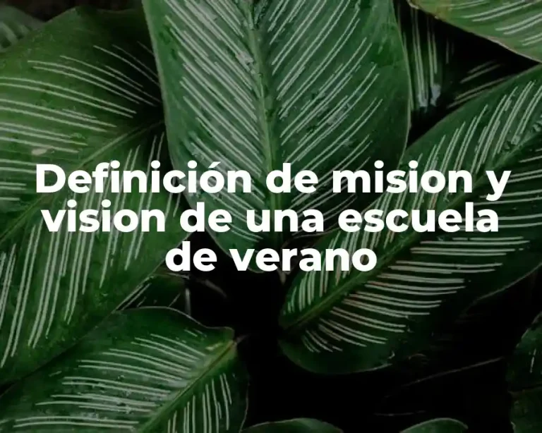 Definición de mision y vision de una escuela de verano